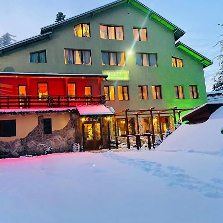 Hotel Forest Star On The Ski Slope Borowez Exterior foto